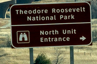 Wandering Theodore Roosevelt NP